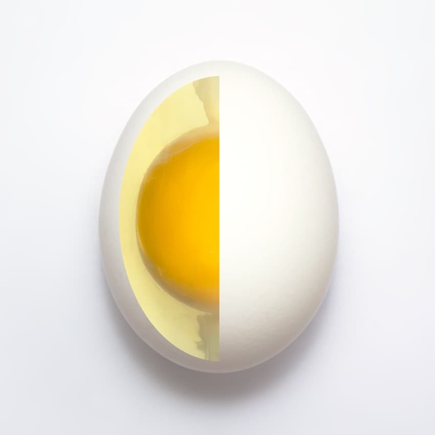 Golden Yolk Egg Half by Adelino Alves — canvas wall art