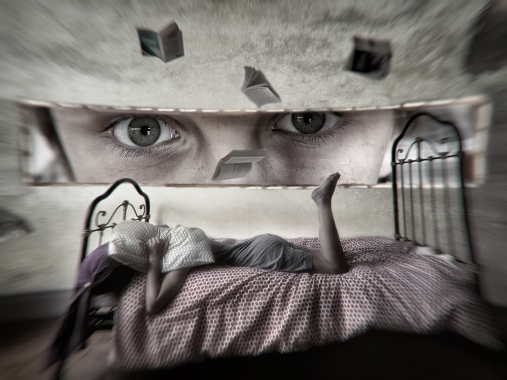 Dreaming Book Eyes by Eric Drigny — canvas wall art