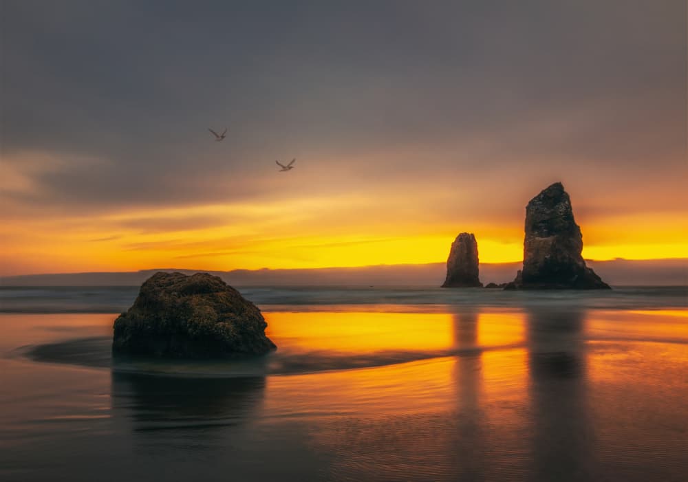 Golden Coastal Sunset by Leechee Z — canvas wall art