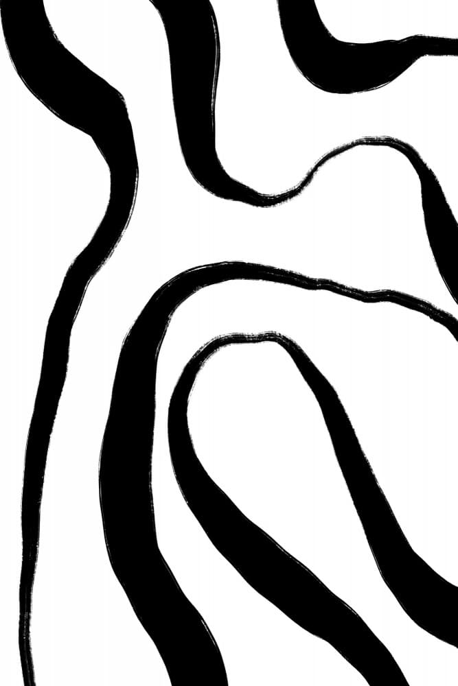 Zebra Flow Harmony by uplusmestudio — canvas wall art