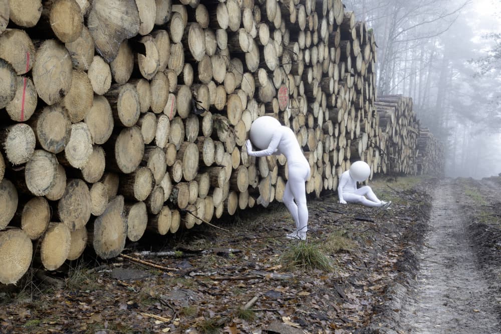 Misty Forest Figures by Leszek Paradowski — canvas wall art