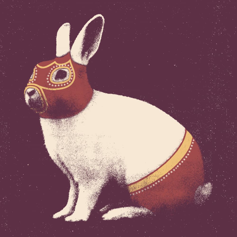 Lucha Libre Rabbit by Florent Bodart — canvas wall art