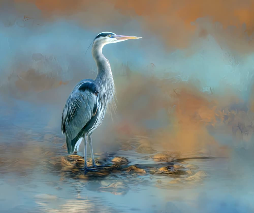 Tranquil Blue Heron by Barbara Fletcher — canvas wall art