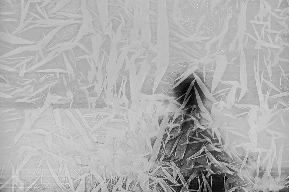 Icy Tree Silhouette by Simon H — canvas wall art