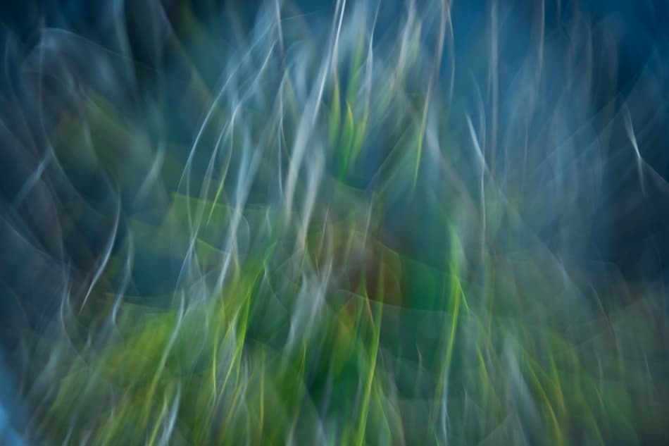 Aqua Green Abstract Flow by Paulo Abrantes — canvas wall art