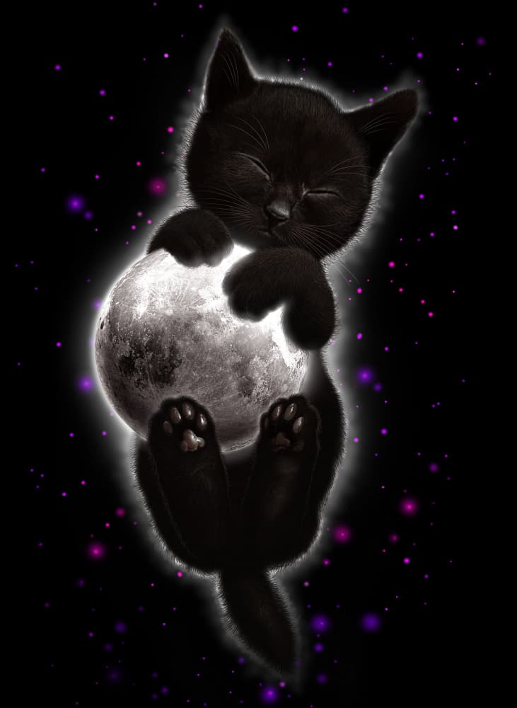 Sleeping Kitten Moon Dream by Adam Lawless — canvas wall art