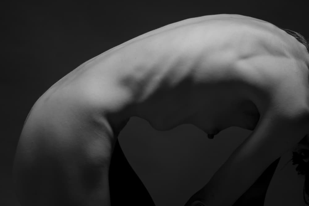 Elegant Back Curve by Eyal Alcalay — canvas wall art
