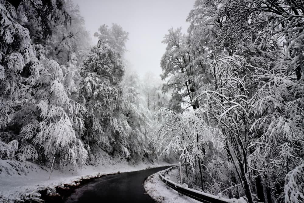 Winding Winter Road by Bojan Bencic — canvas wall art