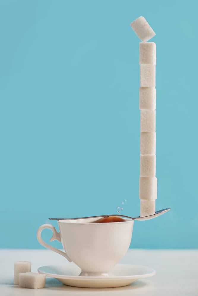 Sweet Balance by Dina Belenko — canvas wall art