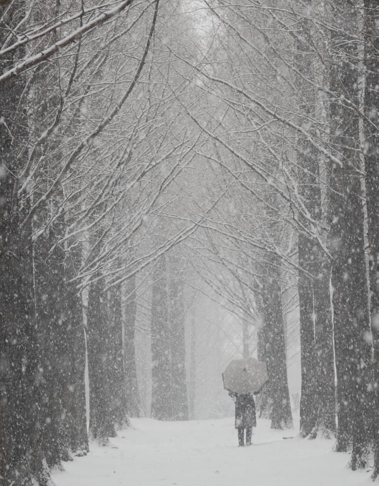 Solitary Winter Path by HAN dong hee — canvas wall art