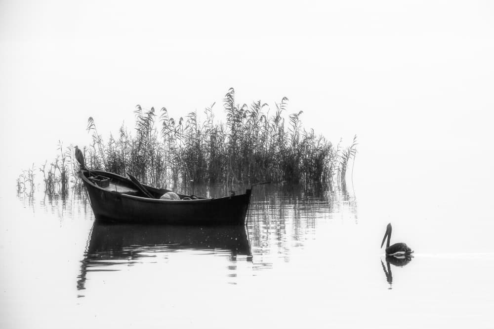 Serene Boat and Pelican by Ummu Nisan Kandilcioglu — canvas wall art