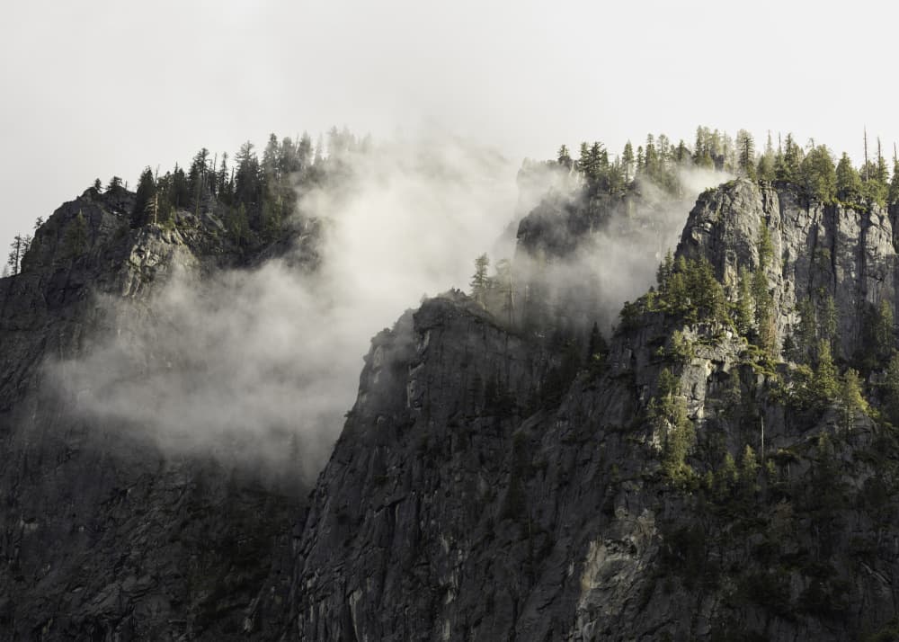 Misty Mountain Forest by Christian Lindgren — canvas wall art