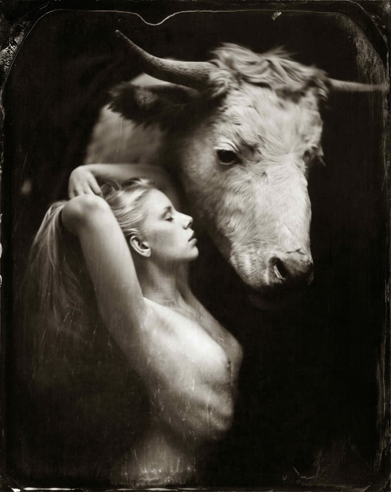 Mythic Woman and Bull by Peter van Hal — canvas wall art
