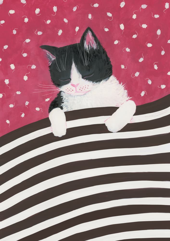 Tuxedo Cat Dreaming by Rosana Laiz Blursbyai — canvas wall art