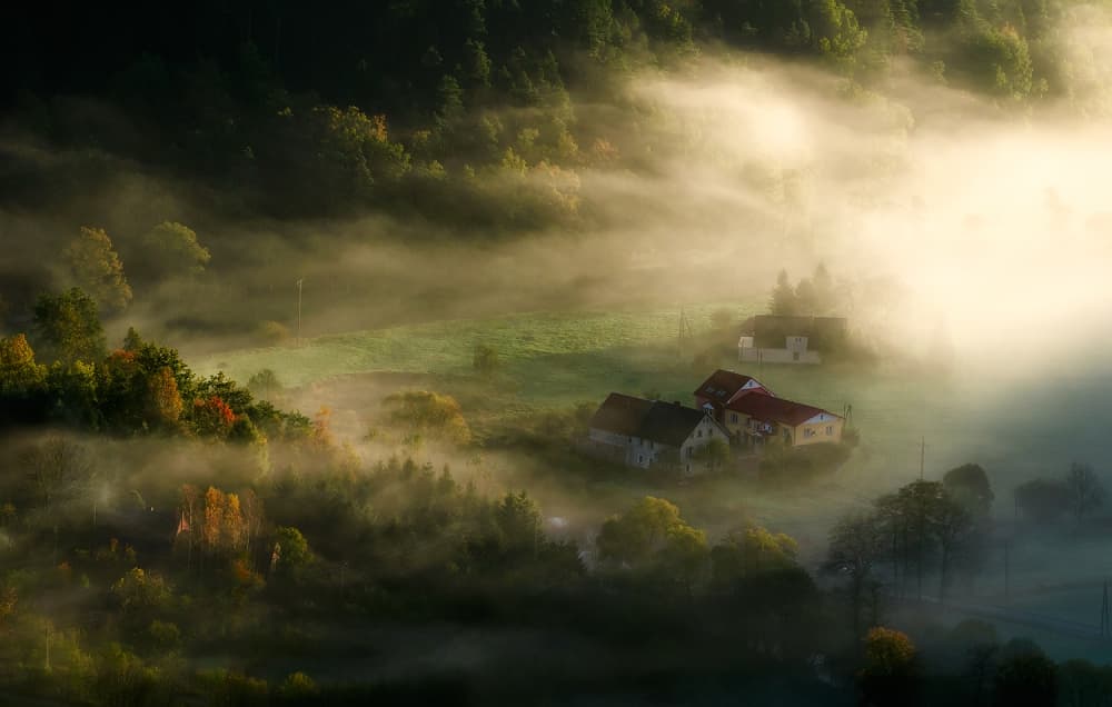 Golden Valley Mist by Piotr Krol (Bax) — canvas wall art