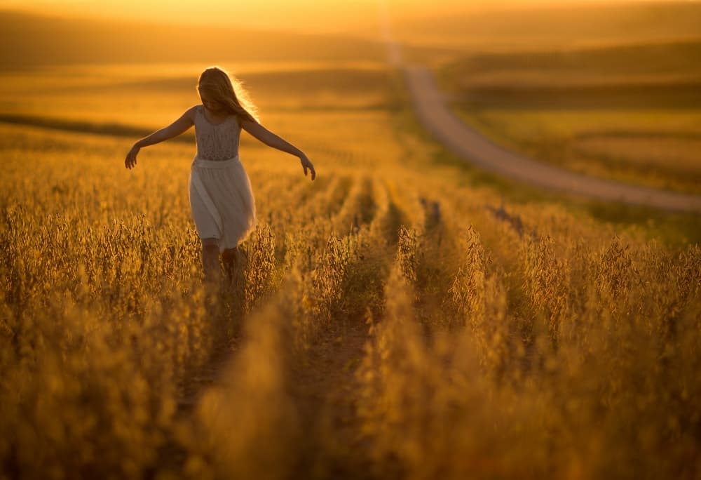 Girl in Golden Field by Jake Olson — canvas wall art