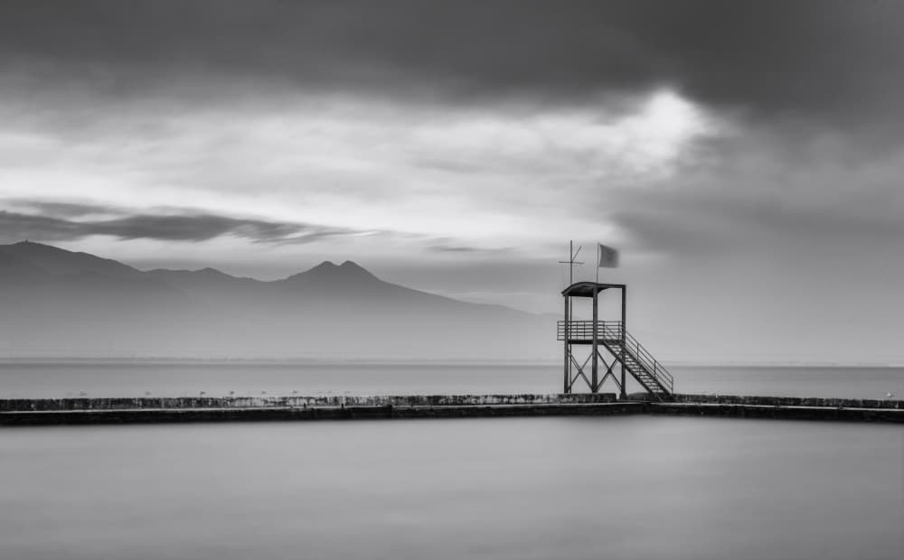 Moody Lakeside Stand by Yavuz Pancareken — canvas wall art