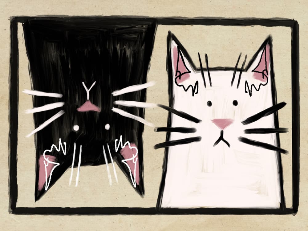 Whimsical Cat Contrasts