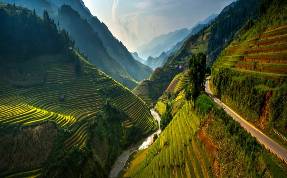 Green Mountain Terraces by Sarawut Intarob — canvas wall art