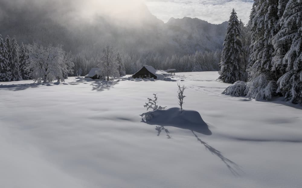 Alpine Winter Morning by Ales Krivec — canvas wall art