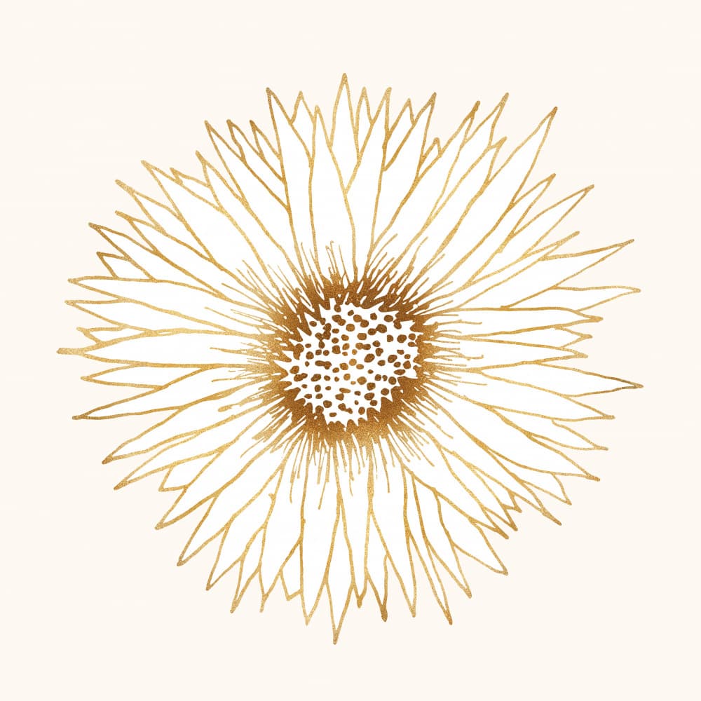 Gold Sunflower Print by Kristian Gallagher — canvas wall art
