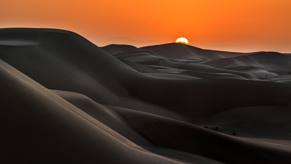 Golden Desert Sunset by Babak Mehrafshar — canvas wall art