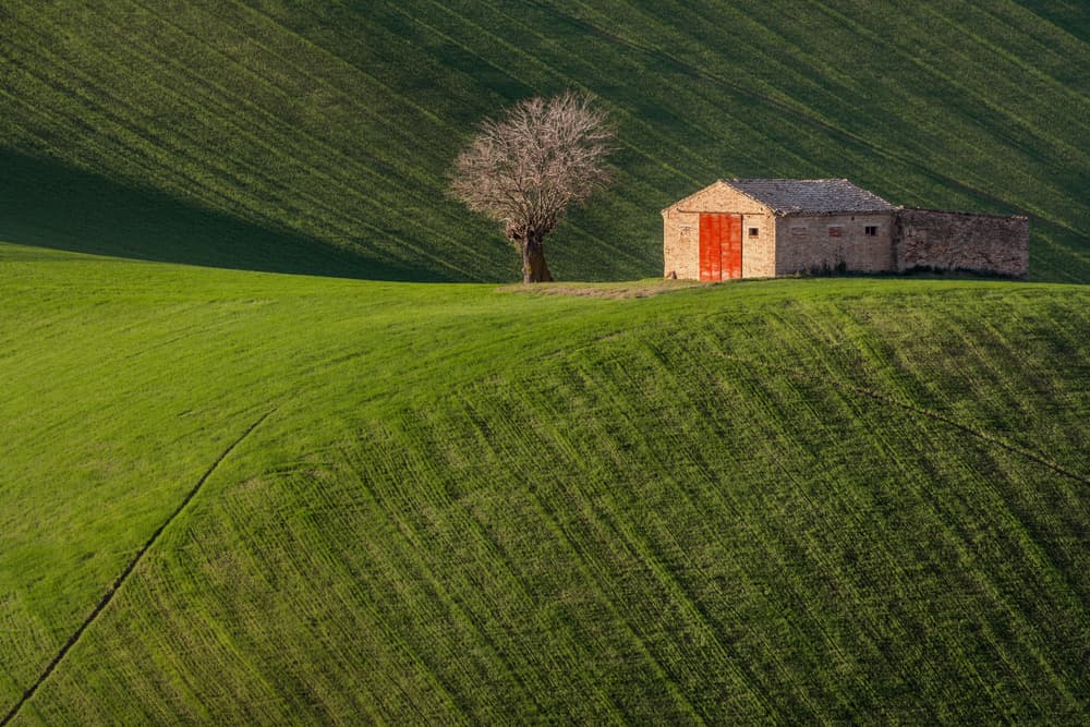 Green Fields and Rustic Barn by Andrea Comari — canvas wall art