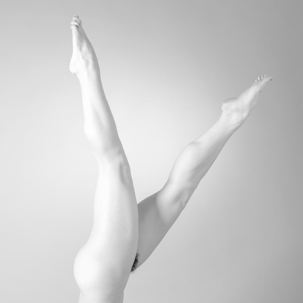 Elegant Dance Form by Gorazd Golob — canvas wall art