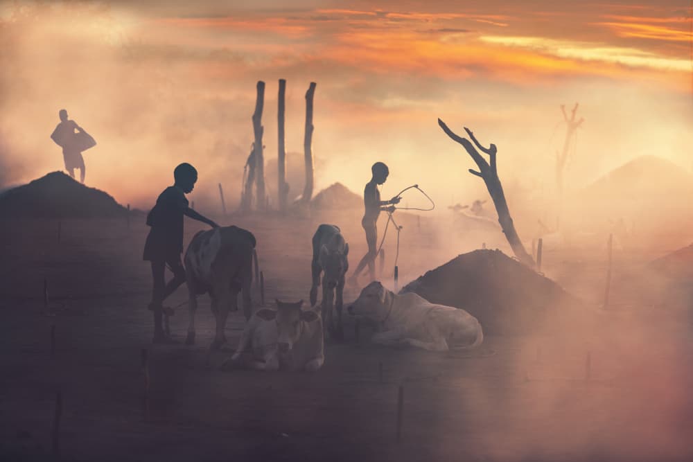 Dusty Rural Sunset by Svetlin Yosifov — canvas wall art