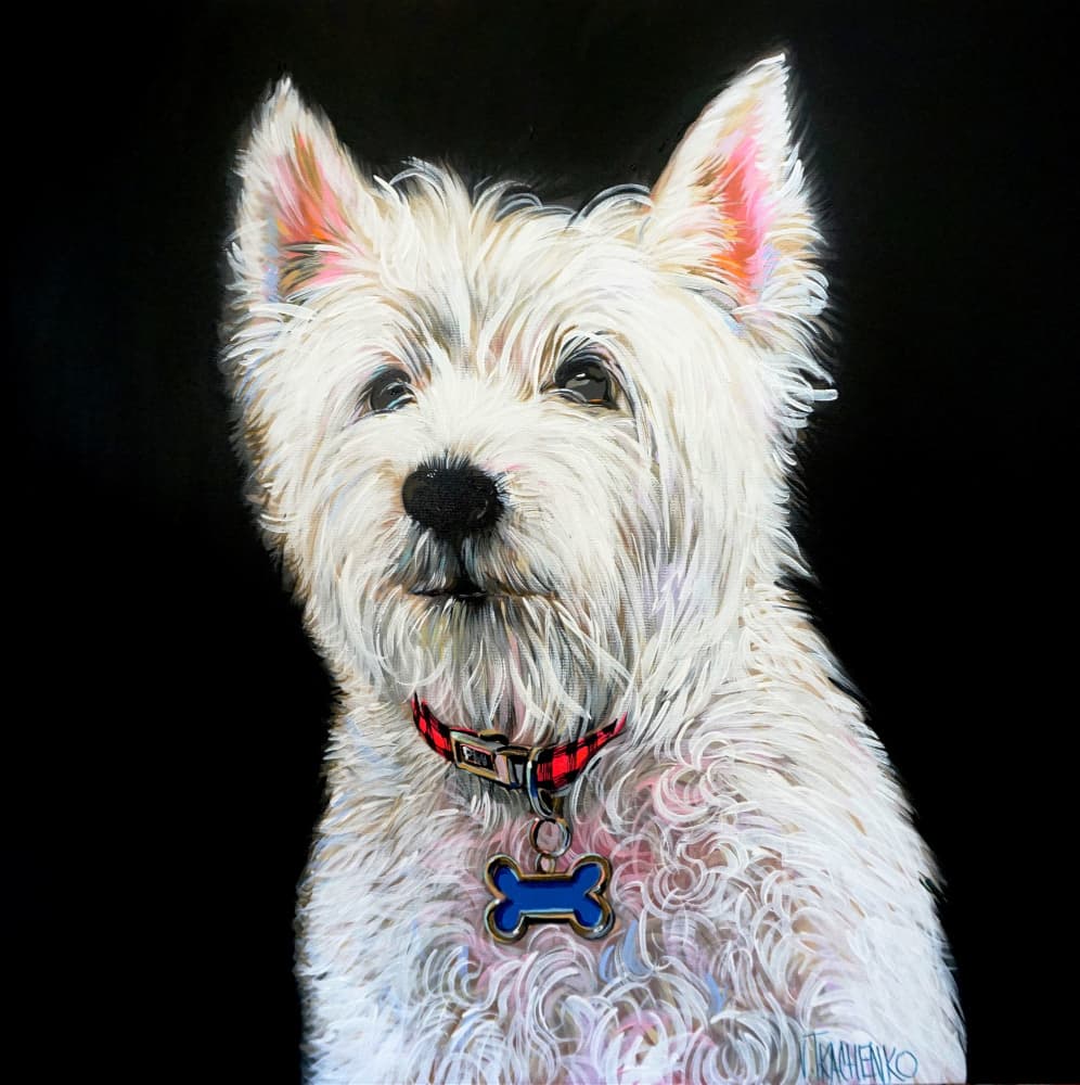 Charming Westie Portrait by Victor Tkachenko — canvas wall art