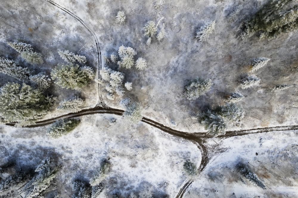 Snowy Forest Paths by Eser Karadag — canvas wall art