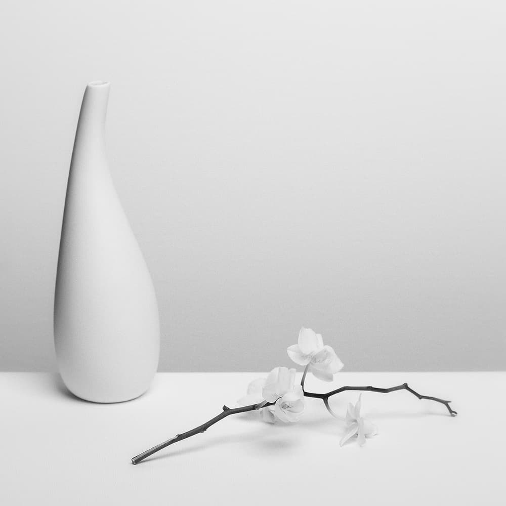 Monochrome Orchid Still Life by Kristina Oveckova — canvas wall art