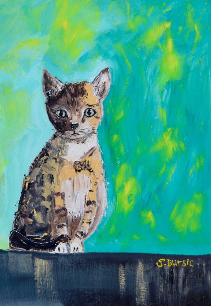Bright Eyed Kitten by Sharyn Bursic — canvas wall art
