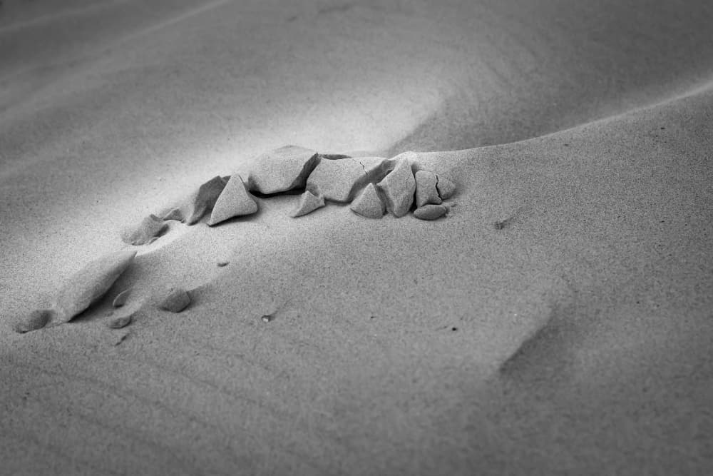 Cracked Desert Shapes by Greetje van Son — canvas wall art