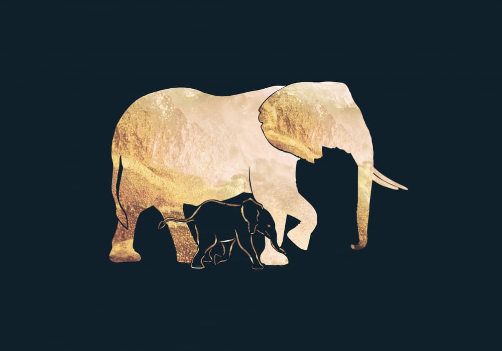 Golden Elephant Family by Sarah Manovski — canvas wall art