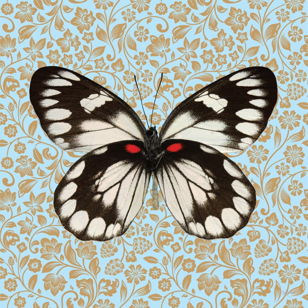 Elegant Butterfly Floral Pattern by Sue Skellern — canvas wall art