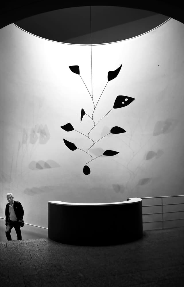 Elegant Mobile Sculpture by Fernando Alves — canvas wall art