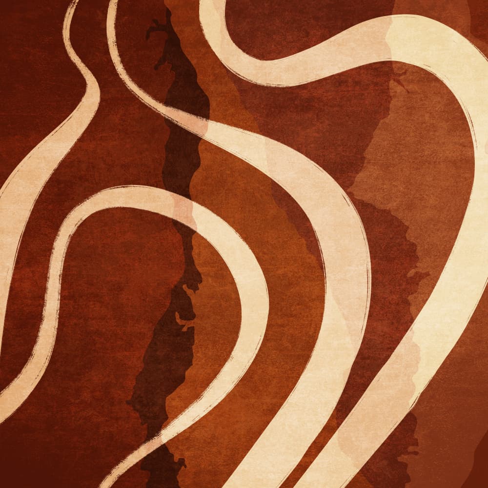 Curved Earth Tones by Emel Tunaboylu — canvas wall art
