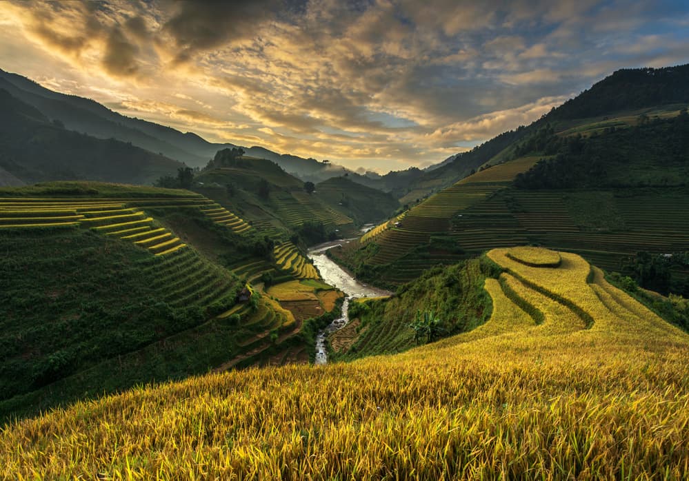 Vietnam Rice Terraces Serene by Sarawut Intarob — canvas wall art