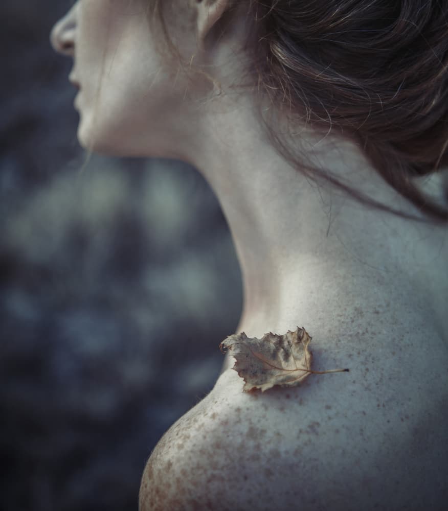 Autumn Leaf Profile by Magdalena Russocka — canvas wall art