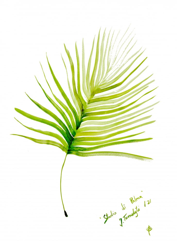 Green Palm Leaf Watercolor by Julija Belickienė — canvas wall art
