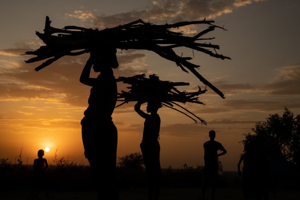 Golden Hour Firewood Carriers by Corinne Spector — canvas wall art