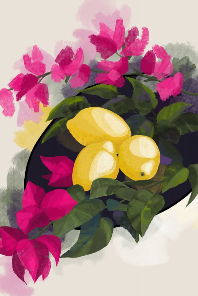 Vibrant Lemons and Pink Blooms by Rosana Laiz Blursbyai — canvas wall art