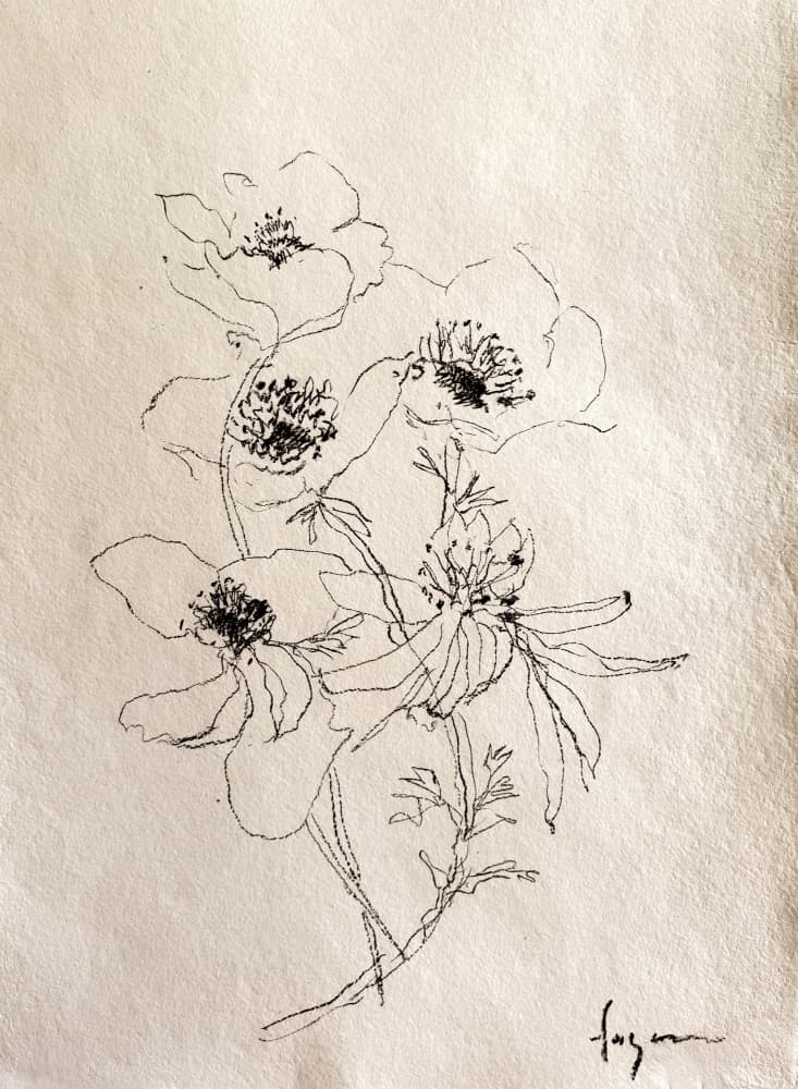 Delicate Floral Sketch by Dorothy Fagan — canvas wall art