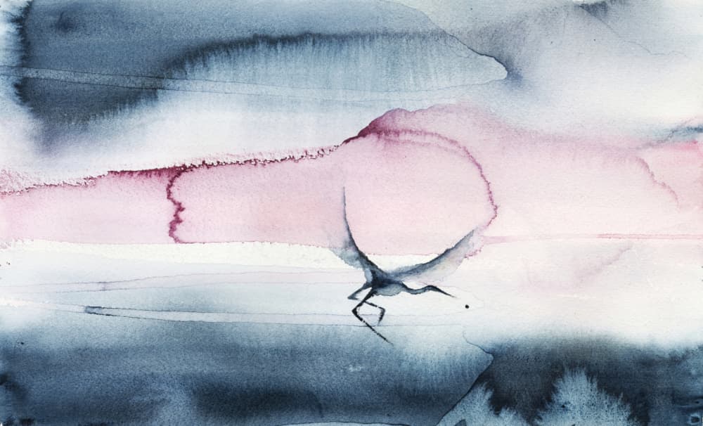 Pink Sky Bird Flight by RodMacIver — canvas wall art