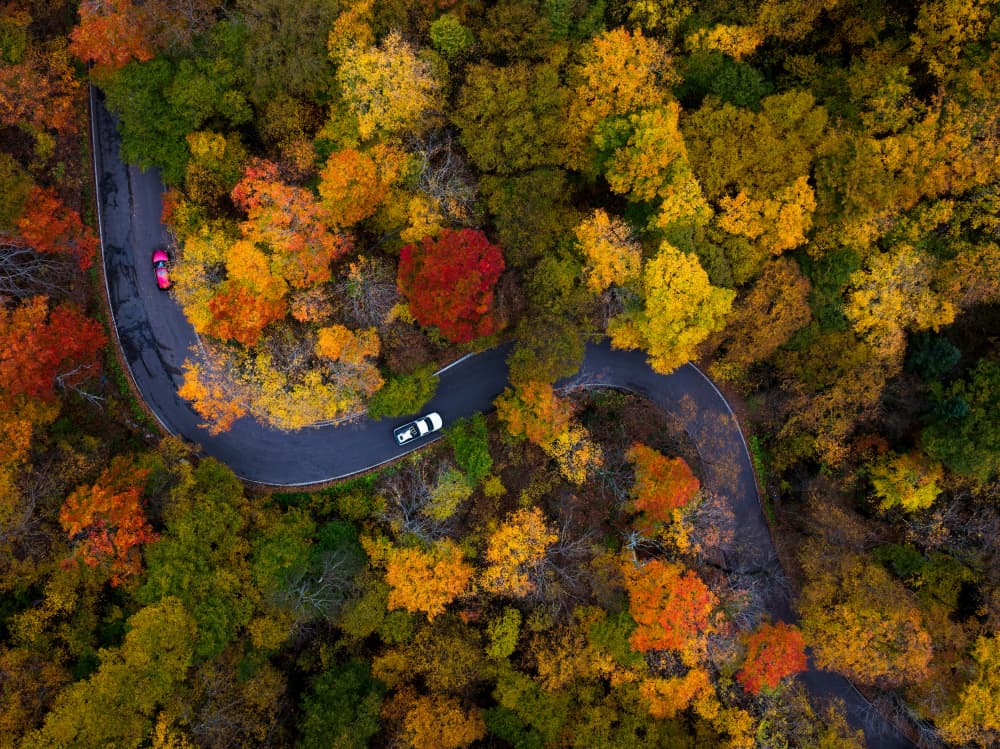 Winding Autumn Road by HuongHoang — canvas wall art