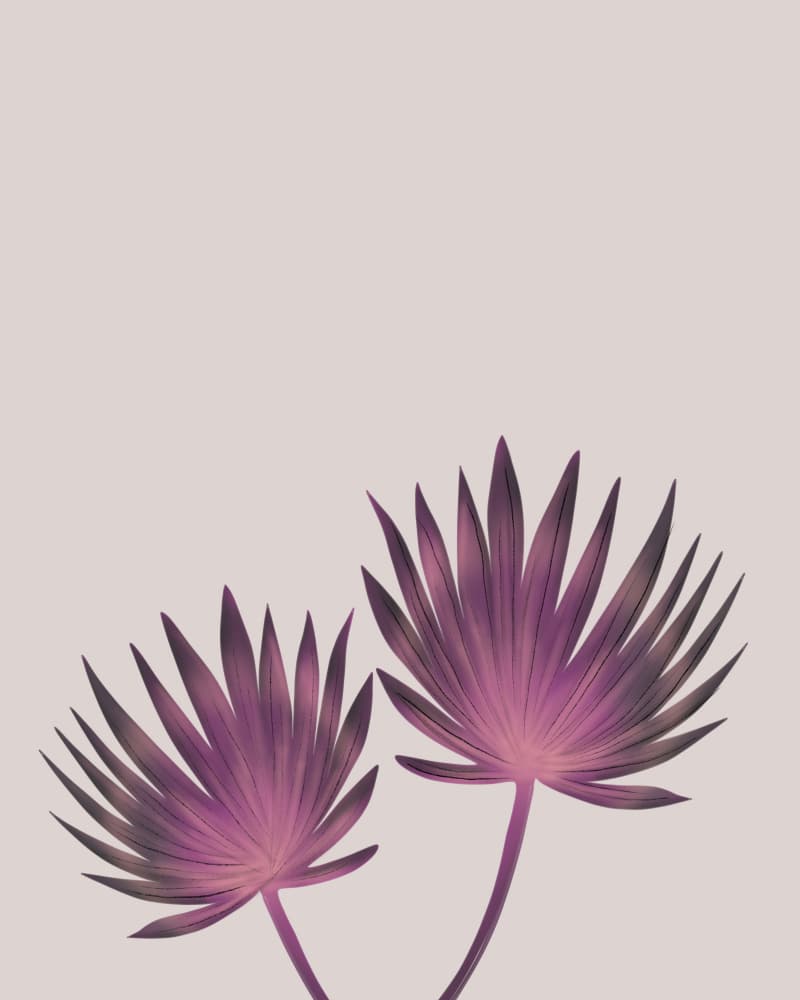 Pink Palms by Anis Illustration — canvas wall art