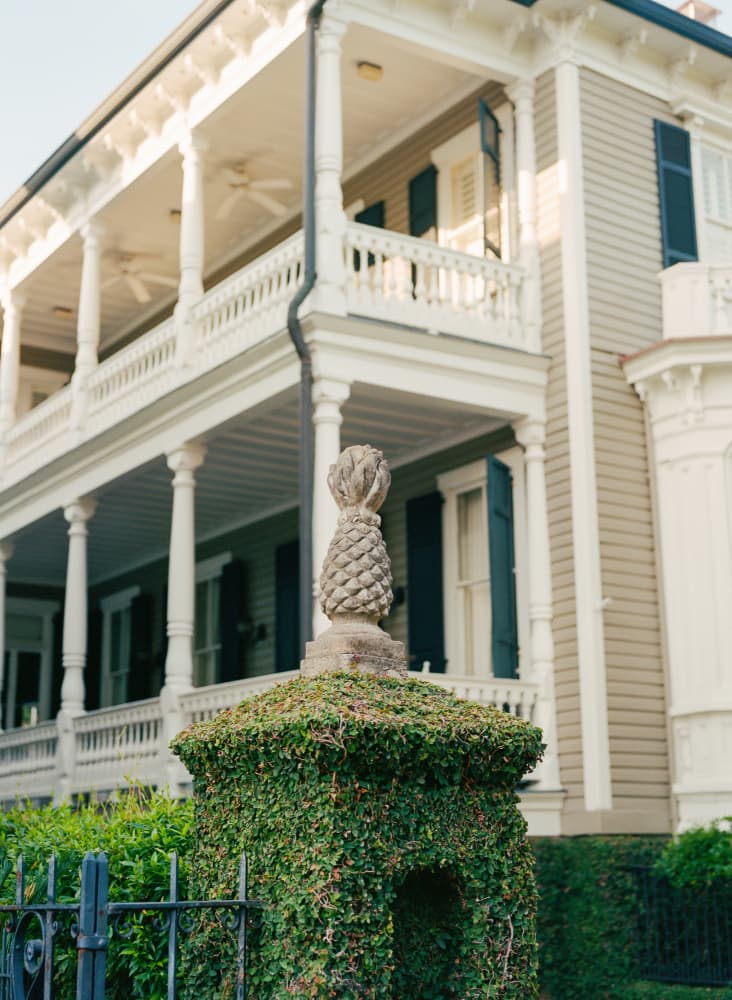 Stately Southern Pineapple by Bethany Young — canvas wall art