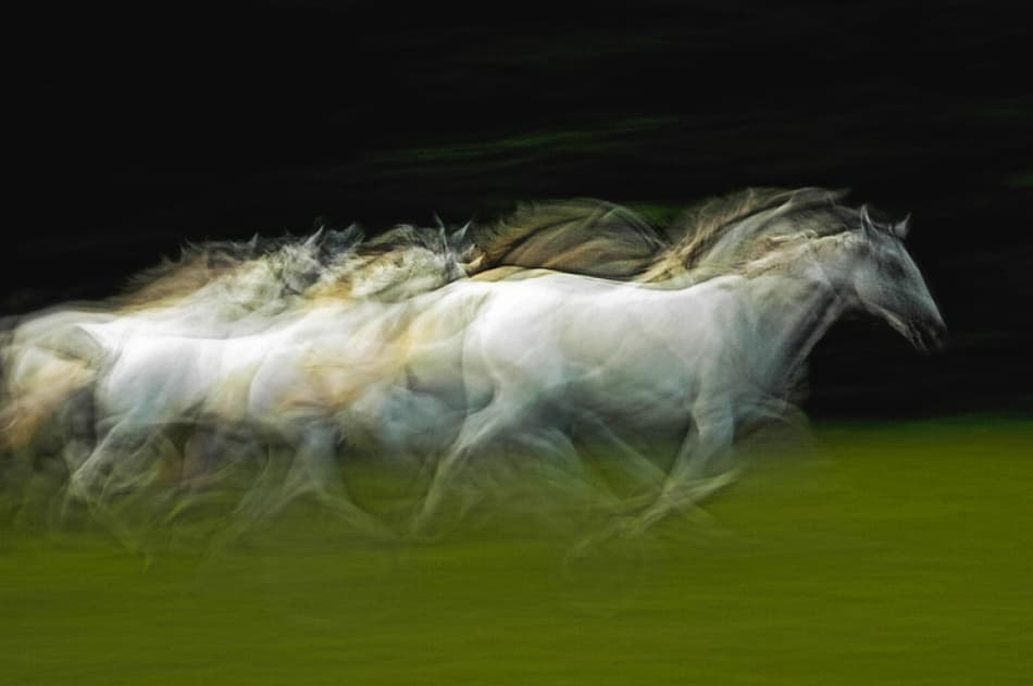 Ethereal Running Horses by Milan Malovrh — canvas wall art