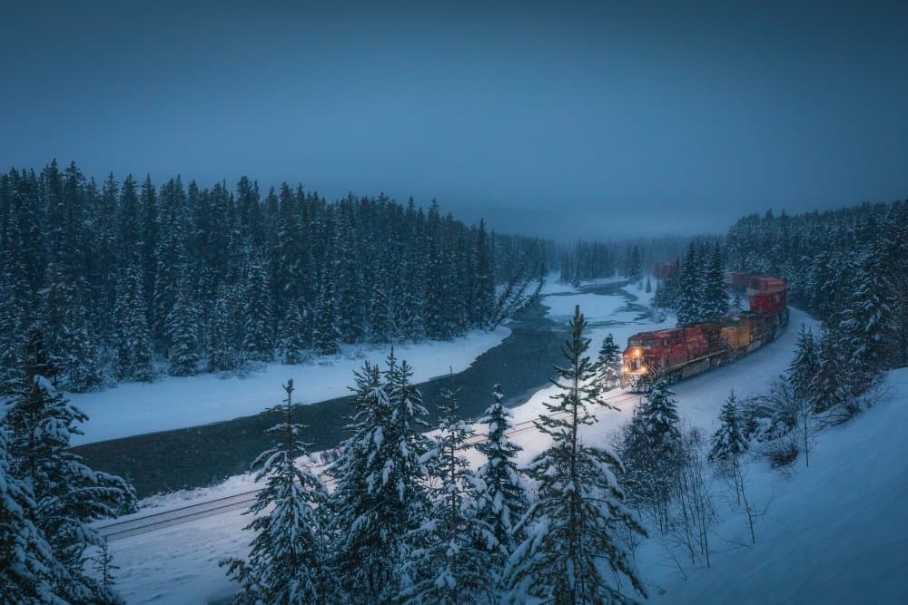 Snowy Forest Train by Wendy Xu — canvas wall art